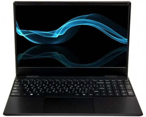 Ноутбук Hiper Workbook 15.6 IPS FHD/Intel Core i3 1000NG4/8Gb/256Gb SSD/VGA int ч