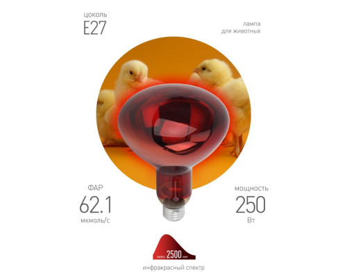 Инфракрасная лампа ЭРА ИКЗК 220-250 R127 кратность 1 шт Е27 / E27 для обогрева жи