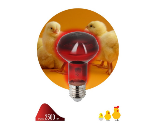 Инфракрасная лампа для обогрева животных, ЭРА, ИКЗК 230-60 R63, Е27, 60 Вт