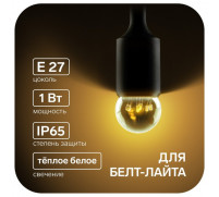 Лампа светодиодная, 6 LED, G45, Е27, 1 Вт, для белт-лайта, т-бел, наб. 10 шт