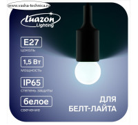 Лампа светодиодная Luazon Lighting, G45, Е27, 1.5 Вт, для белт-лайта, белая, наб 20 шт