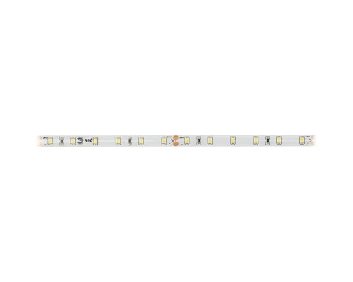 Светодиодная лента Эра, 5 м, IP65, SMD2835, 60 LED/м, 4,8 Вт/м, 24 В, свечение бе