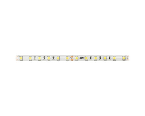 Светодиодная лента Эра, 5 м, IP65, SMD5050, 60 LED/м, 14,4 Вт/м, 24 В, свечение б