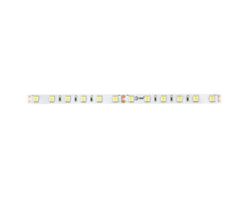 Светодиодная лента Эра, 5 м, IP33, SMD5050, 60 LED/м, 14,4 Вт/м, 24 В, свечение б