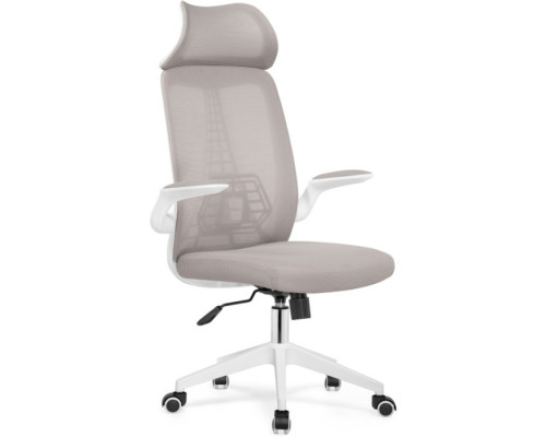 Компьютерное кресло Lokus пластик/сетка, белый/серый 66x65x114 см