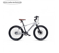 Велосипед 20'' Maxiscoo 7Bike M700, цвет серебро