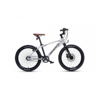 Велосипед 20'' Maxiscoo 7Bike M700, цвет серебро