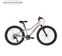 Велосипед 24'' Maxiscoo 5Bike, цвет розовый сапфир, размер L